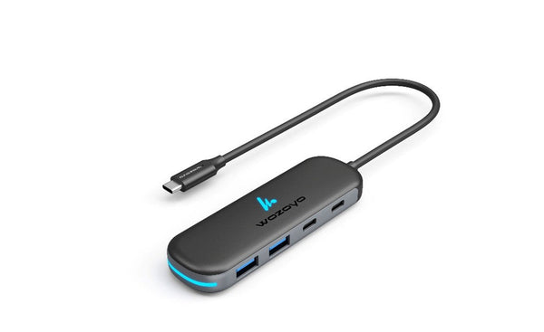 Type C to 2 Port Type C & 2 port USB 3.2 Hub, Series 1