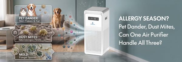 Pet Dander, Dust Mites & Mold: Can One Air Purifier Handle All Three?