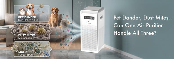 Pet Dander, Dust Mites & Mold: Can One Air Purifier Handle All Three?