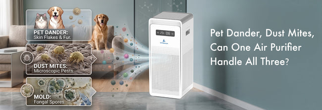 Pet Dander, Dust Mites & Mold: Can One Air Purifier Handle All Three?