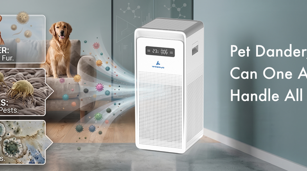 Pet Dander, Dust Mites & Mold: Can One Air Purifier Handle All Three?
