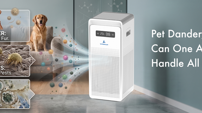 Pet Dander, Dust Mites & Mold: Can One Air Purifier Handle All Three?