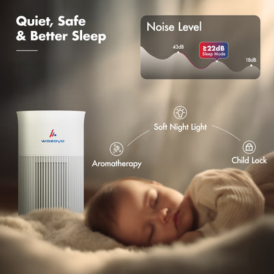 Pure Air PA1