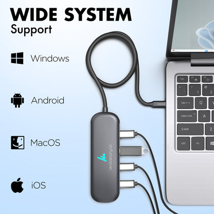 Type C to 4 in 1 Type C Hub, Series 1