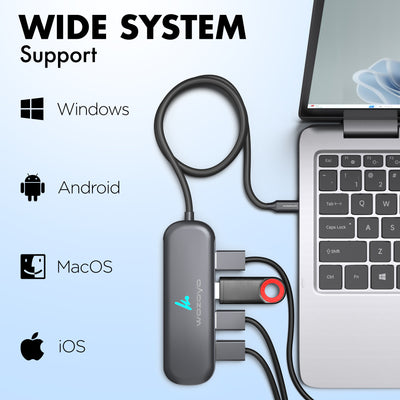 Type C to 4 Port USB 3.2 Hub, Series 1