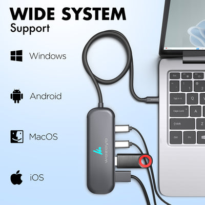 Type C to 2 Port Type C & 2 port USB 3.2 Hub, Series 1